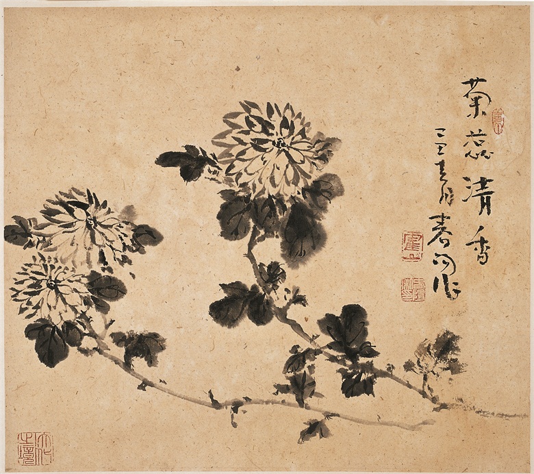 2009年  菊蕊清香   47cmx47cm.jpg