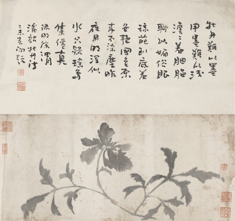 牡丹难以墨 纸本 55×58cm.jpg